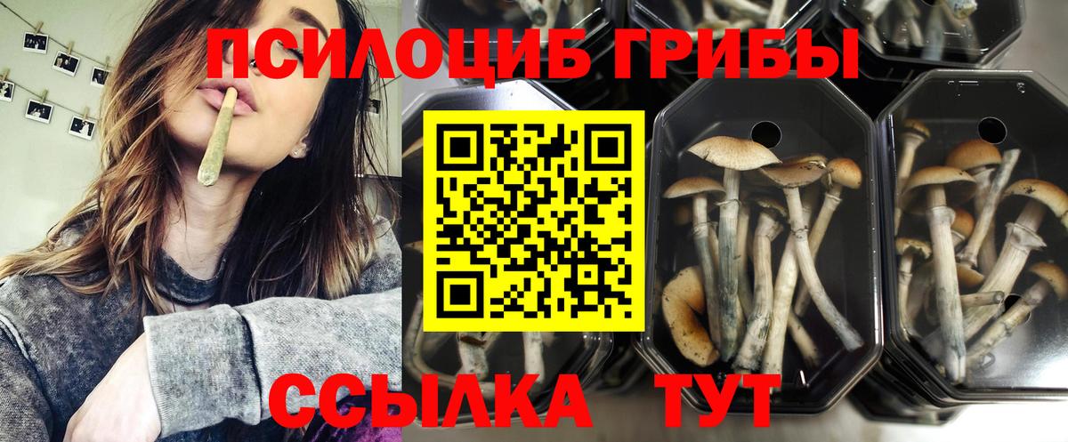 закладки  Вход с VPN  Сатка  Галлюциногенные грибы MAGIC MUSHROOMS 