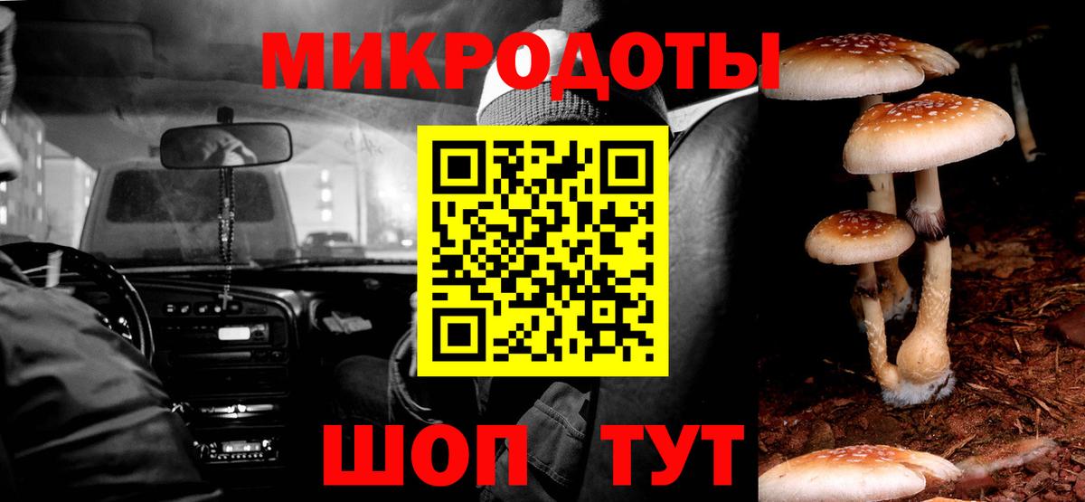 Псилоцибиновые грибы GOLDEN TEACHER Сатка